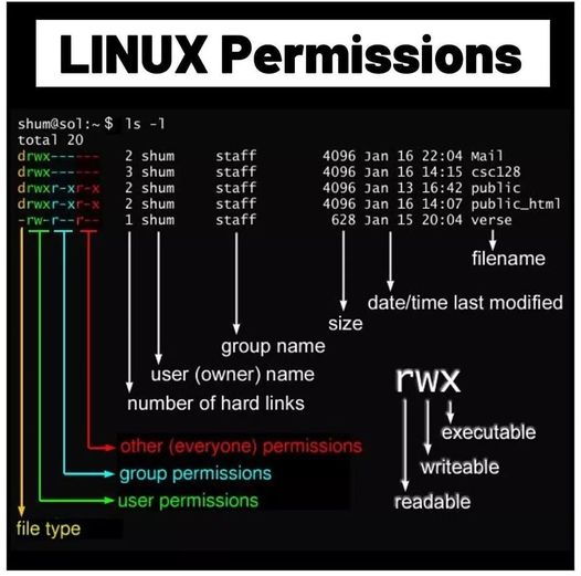 Linux Permissions